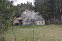 SFLMDSC_0375
