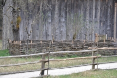 SFLMDSC_0392