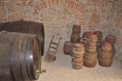 SFLMDSC_0399