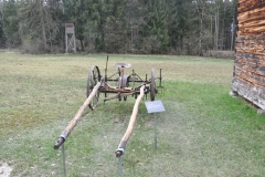 SFLMDSC_0410