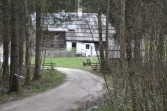 SFLMDSC_0424