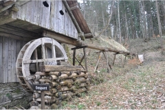 SFLMDSC_0434
