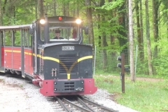 SFLMP1020494