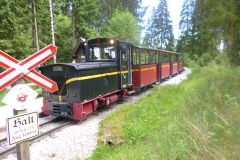 SFLMP1020532