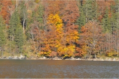Herbst 2020