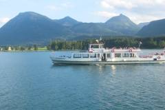 schiff