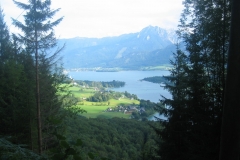 vomBerg1